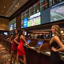 333bet30
